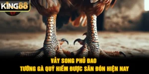 Vảy Song Phủ Đao - Tướng Gà Quý Hiếm Được Săn Đón Hiện Nay